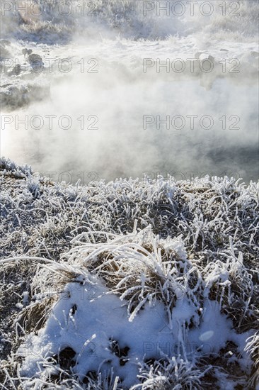 Frost on foliage at steaming hot springs