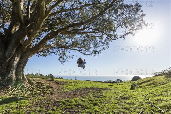 Caucasian woman on tree swing near ocean