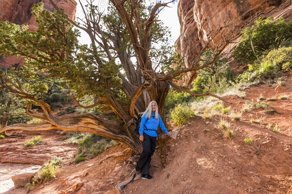 Caucasian woman posing near tree in desert landscape