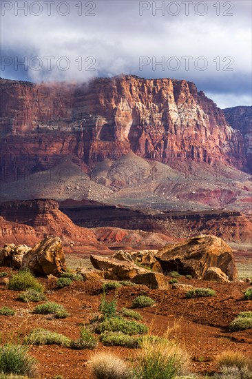 Scenic view of desert landscape