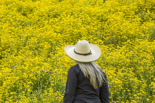Caucasian woman in field of yellow flowers