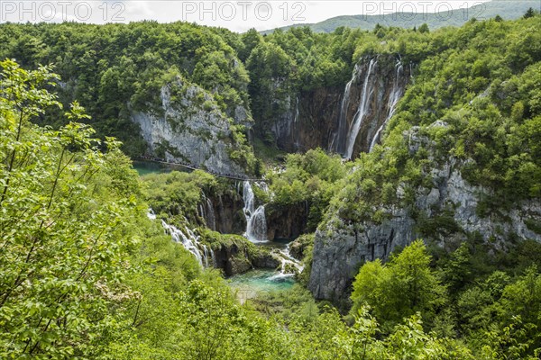 Waterfalls in forest