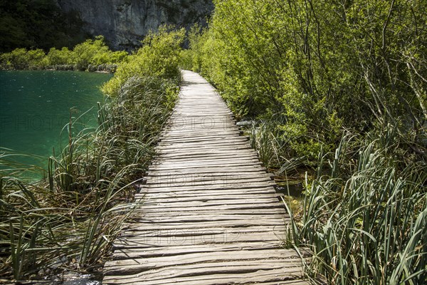 Wooden pathway near water