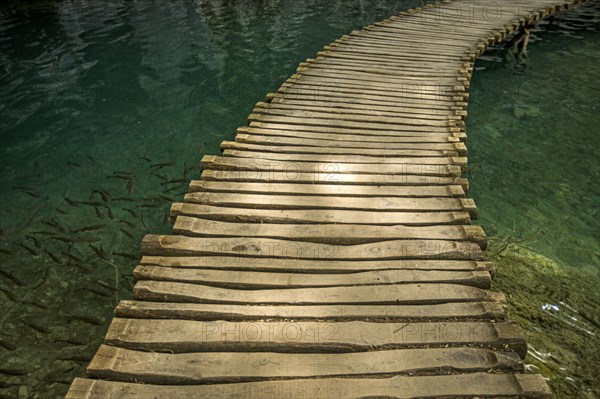 Wooden footbridge over water