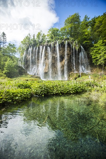 Waterfalls in forest