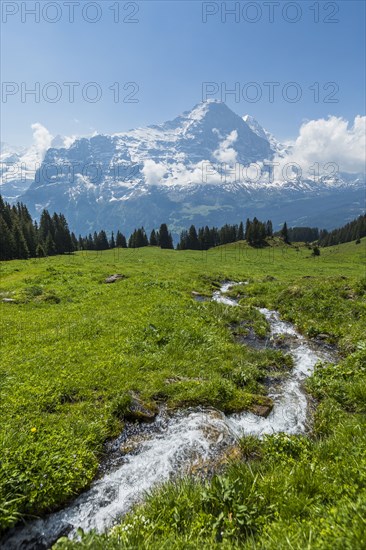 Stream in field near mountains