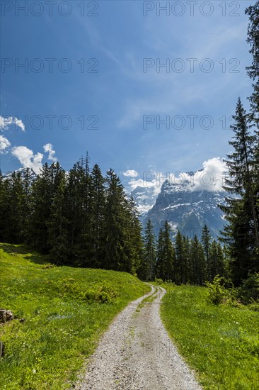 Dirt path toward mountains