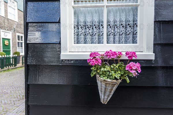 Flowers in basket under window