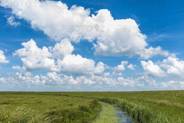 Clouds over grassy landscape