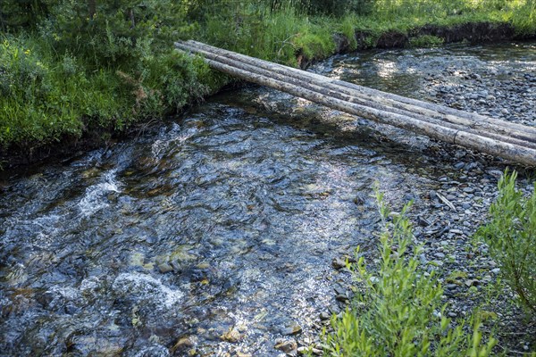 Logs forming bridge crossing river