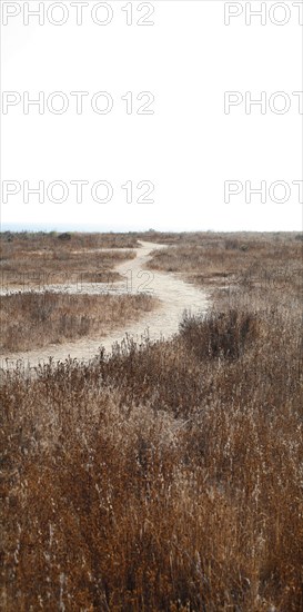 Dirt road through field