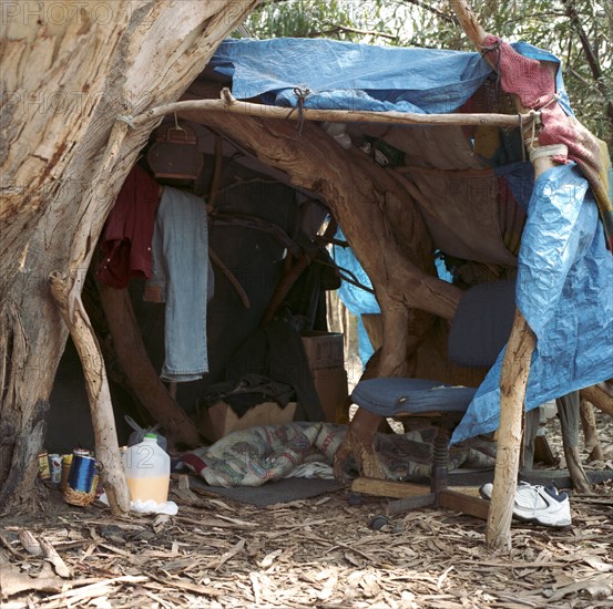 Homeless tent next to tree