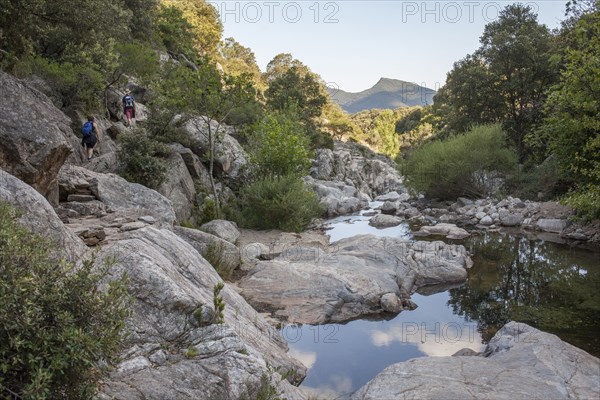 Still river over rocks in remote forest