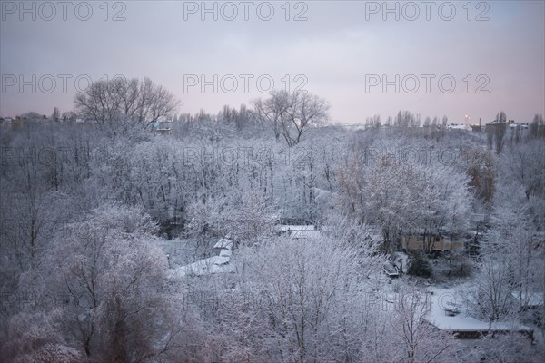 Trees over park in snowy landscape