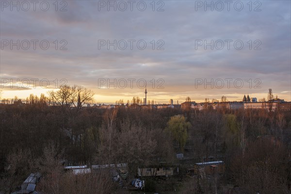 Treetops over Berlin cityscape