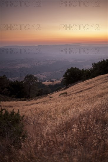 Grassy hillside over remote landscape