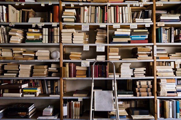 Stepladder by bookshelves in library