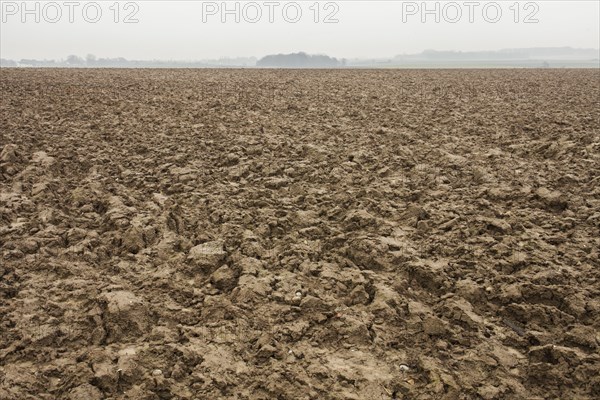 Mounded dirt in Waterloo Battlefield
