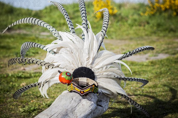 Traditional headdress on wooden log