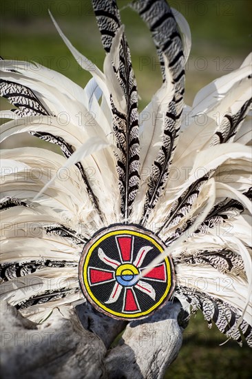 Traditional headdress on wooden log