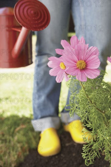 Woman watering flowers