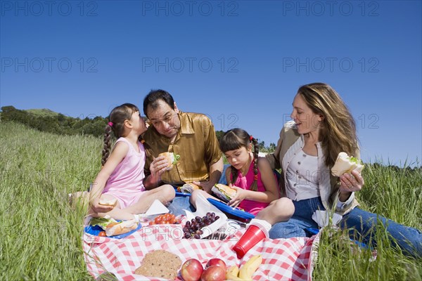 Hispanic family having picnic