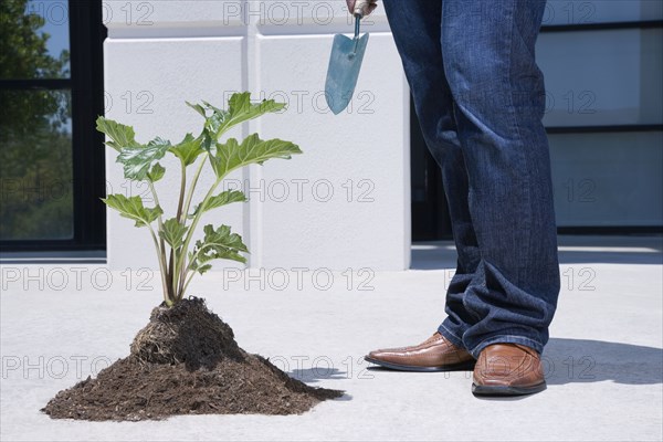 Asian man standing near pile of soil and plant