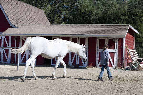 Mixed race girl walking horse on ranch