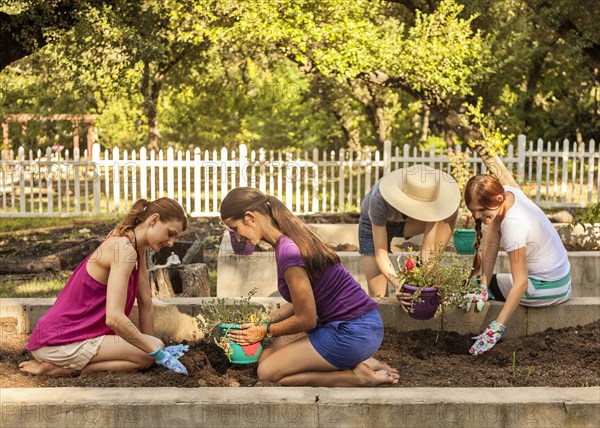 Women planting seedlings in garden