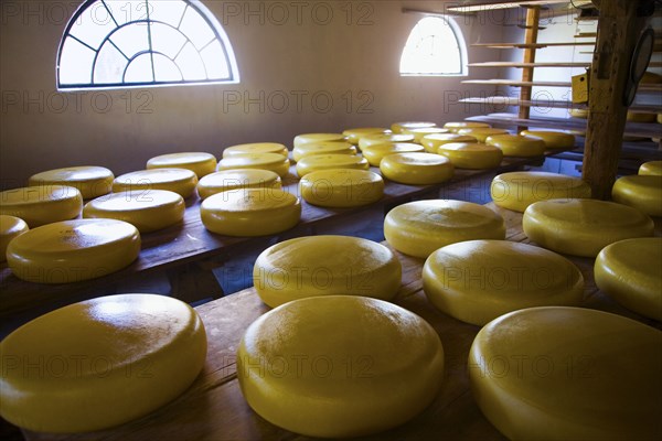 Group of cheeses on tables