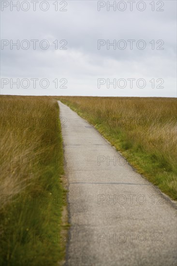 Path through field