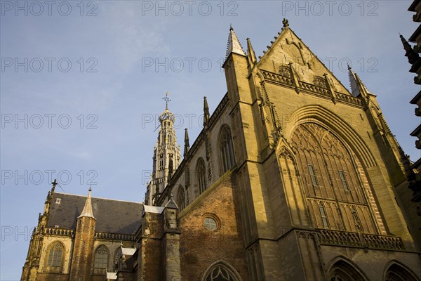 Ornate cathedral