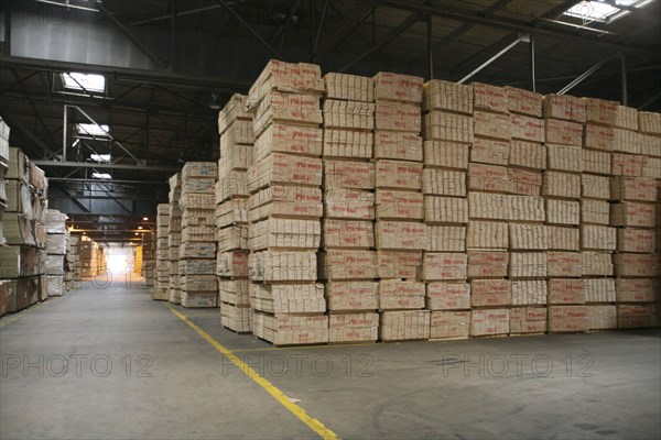 Pallets of boxes in warehouse