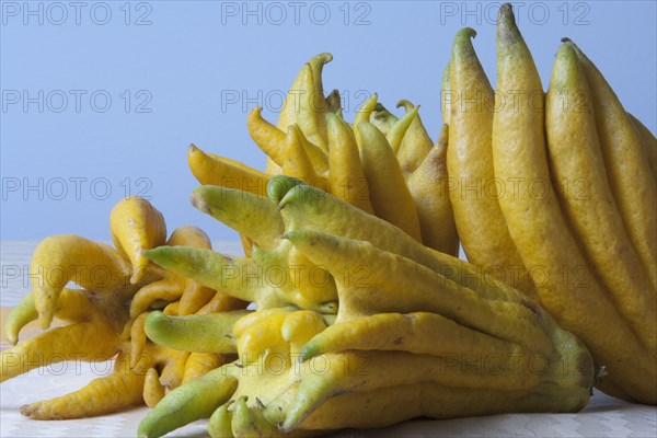 Close up of buddha's hand fruit