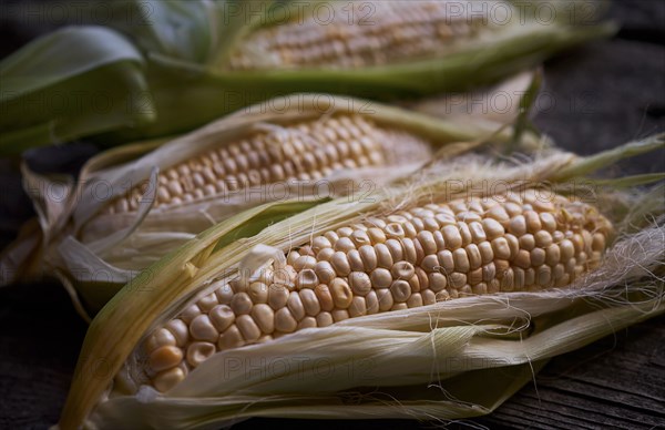 Fresh corn on wooden table