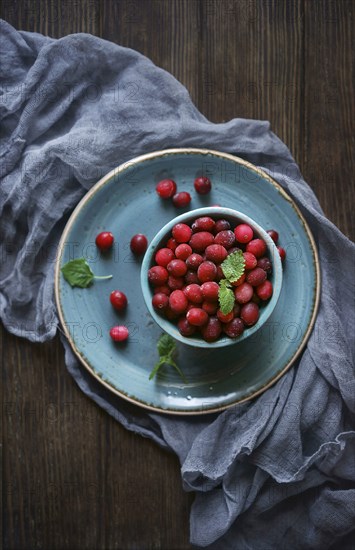 Frozen red berries on wooden table