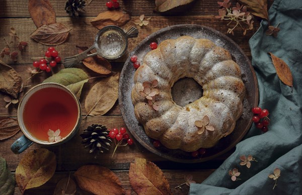 Close up of tea and cake with powdered sugar