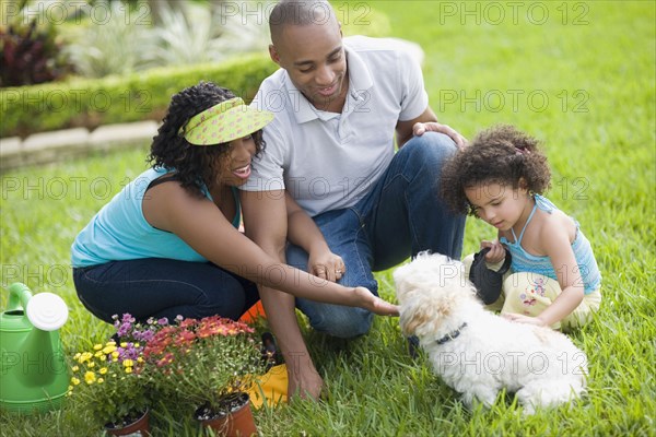 African family petting dog