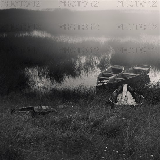 Canoes docked in tall grass in lake