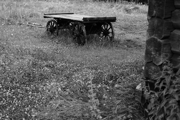 Wooden wagon in rural field
