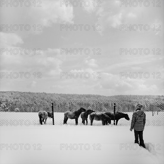 Caucasian girl walking in snowy field to horses