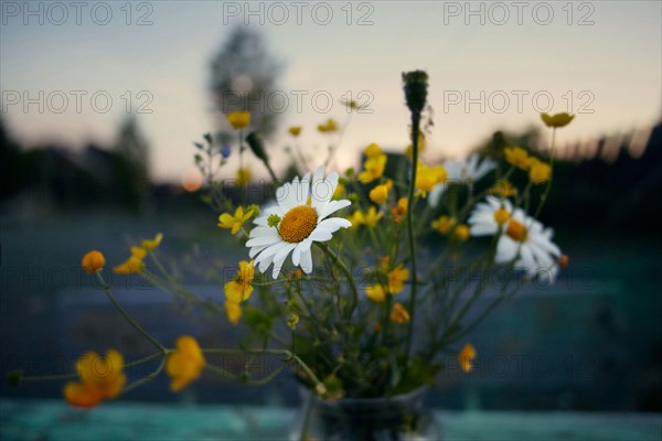 Flowers in vase outdoors