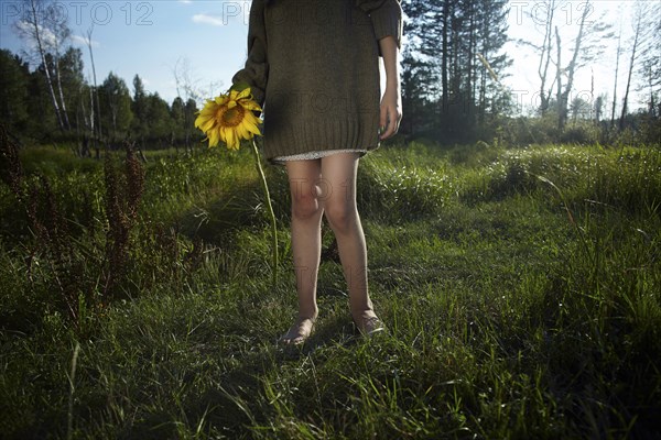 Low section of Caucasian girl wearing sweater holding sunflower
