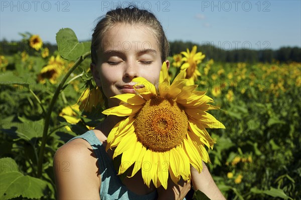Caucasian girl smelling sunflower in field
