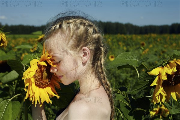Caucasian girl smelling sunflower