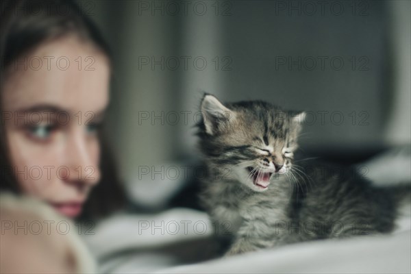 Caucasian woman watching yawning kitten