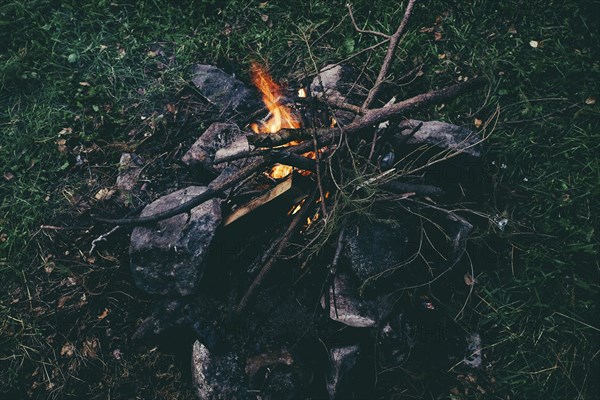 Branches in campfire