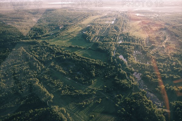 Aerial view of trees in landscape