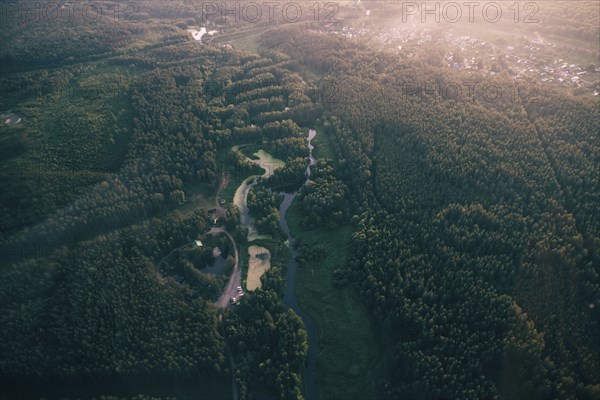 Aerial view of river and trees