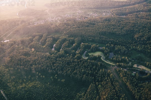 Aerial view of river and trees